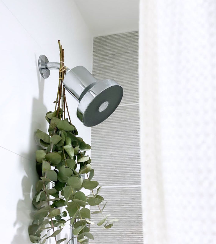 Why a Hard Water Filter for Your Shower Head is Important