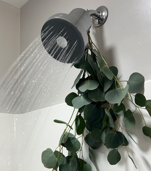 Jolie: The Best Showerhead for Water Pressure