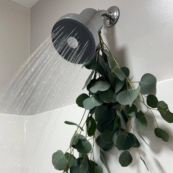 Jolie: The Best Showerhead for Water Pressure