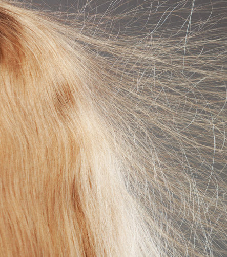 How Can I Get Rid of Static Hair? Here's 3 At-Home Solutions