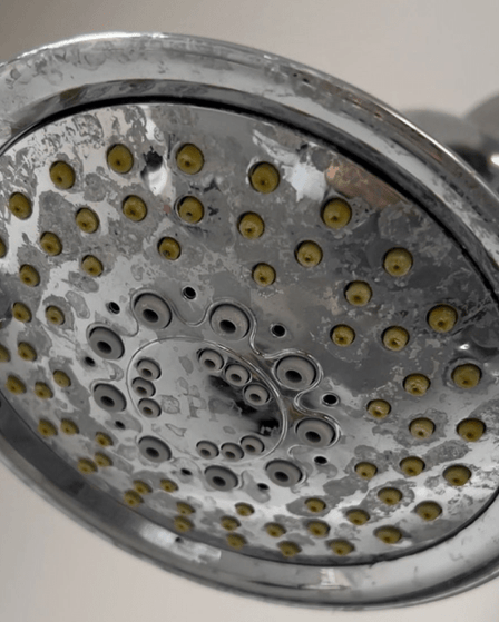 5 Tips on How to Reverse the Effects of Hard Water on Hair