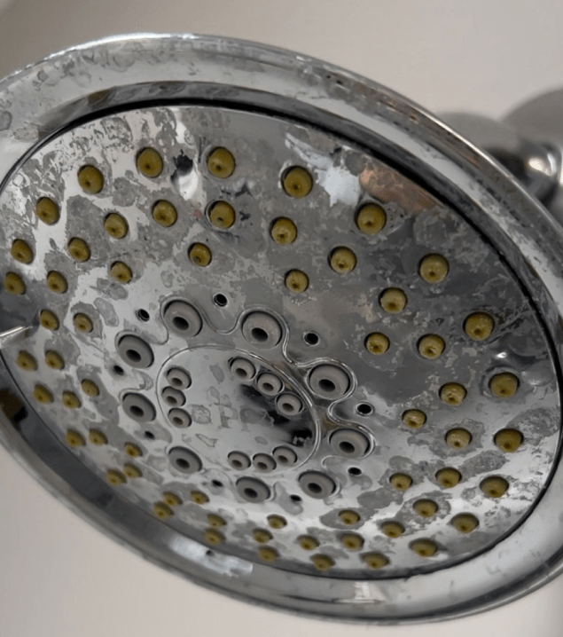 5 Tips on How to Reverse the Effects of Hard Water on Hair