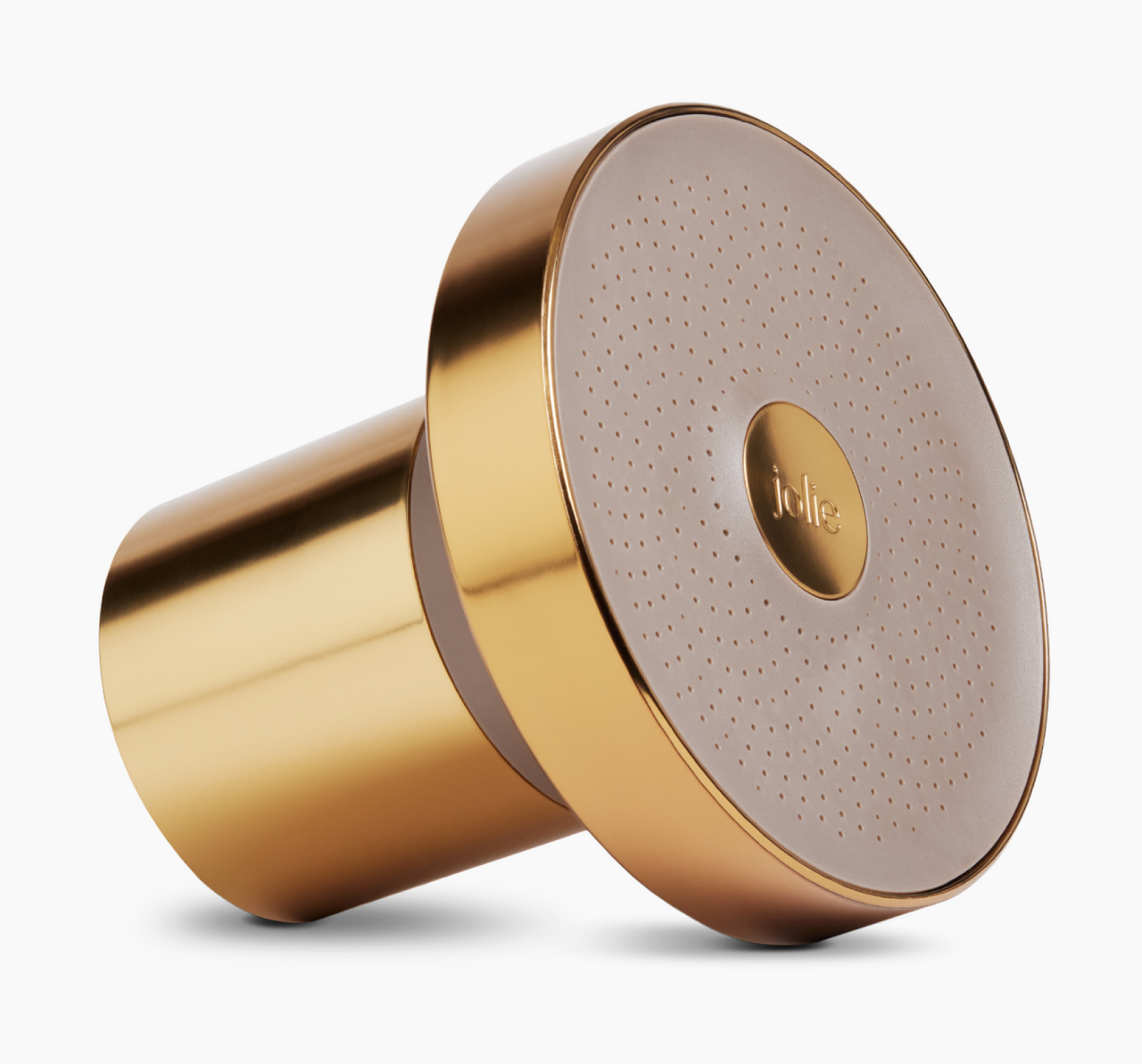 THE FILTERED SHOWERHEAD